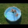 pool5.jpg